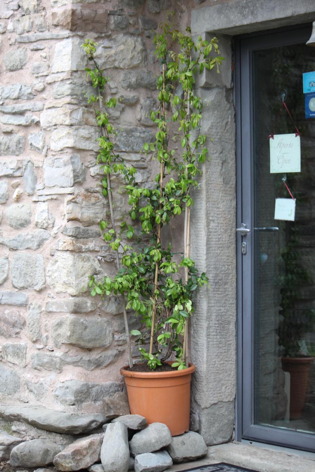 Eremo Gioioso Villa Pontremoli Buitenkant foto